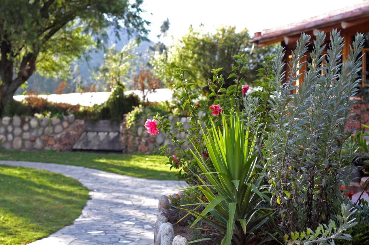 Fleur Lodge Carhuaz Exterior foto